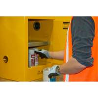 Flammable Storage Cabinet, 4 gal., 1 Door, 17" W x 22" H x 18" D St. Lawrence Industrial & Safety Supply