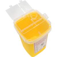 Sharps Container, 1 L Capacity St. Lawrence Industrial & Safety Supply