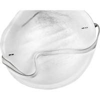 Disposable Nuisance Dust Mask St. Lawrence Industrial & Safety Supply