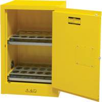 Flammable Aerosol Storage Cabinet, 12 gal., 1 Door, 23" W x 35" H x 18" D St. Lawrence Industrial & Safety Supply