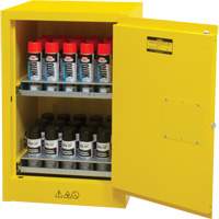 Flammable Aerosol Storage Cabinet, 12 gal., 1 Door, 23" W x 35" H x 18" D St. Lawrence Industrial & Safety Supply