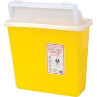 Sharps Container, 4.6L Capacity St. Lawrence Industrial & Safety Supply