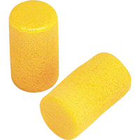 E-A-R Classic Earplugs, Pair - Pillow Pack, Large St. Lawrence Industrial & Safety Supply