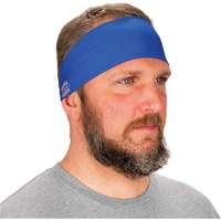 Bandeau de refroidissement Chill-Its 6634, Bleu St. Lawrence Industrial & Safety Supply