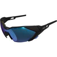 Type-E Safety Glasses, Blue Lens, Anti-Fog/Anti-Scratch, ANSI Z87+ St. Lawrence Industrial & Safety Supply