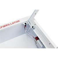 Grande armoire semi-encastr&eacute;e avec alarme, Zoll AED Plus/Zoll AED 3/Cardio-Science/Physio-Control Pour, Non m&eacute;dical St. Lawrence Industrial & Safety Supply