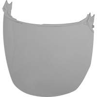 Face Shield Replacement Lenses, Polycarbonate, Grey/Smoke Tint St. Lawrence Industrial & Safety Supply