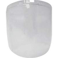 &eacute;cran antibrouillard de remplacement de la s&eacute;rie DP4, Polycarbonate, Teinte Transparent St. Lawrence Industrial & Safety Supply