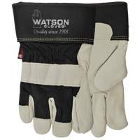 Gants Big Dawg, Petit, Paume en Cuir fleur de vache, Thinsulate St. Lawrence Industrial & Safety Supply