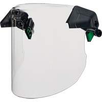 Face Protection