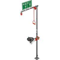 Combination Shower with Open Stainless Steel Bowl & Top Inlet, Pedestal St. Lawrence Industrial & Safety Supply