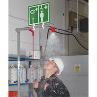 Combination Shower with Closed ABS Bowl & Top Inlet, Pedestal St. Lawrence Industrial & Safety Supply