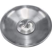 Pomme de douche de s&eacute;curit&eacute; en acier inoxydable St. Lawrence Industrial & Safety Supply