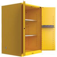 Armoire de s&eacute;curit&eacute; pour produits inflammables Utili-Guard+, 45 gal., 2 Porte(s), 43" La x 65" h x 22" p St. Lawrence Industrial & Safety Supply
