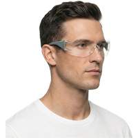 Adapt Lite Grey/Green Safety Glasses, Clear Lens, Anti-Fog/Anti-Scratch, ANSI Z87+/Meets/Exceeds CSA Z94.3 St. Lawrence Industrial & Safety Supply