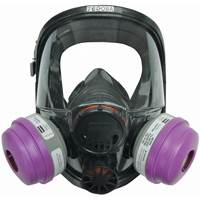 North&reg; 7600 Series Full Facepiece Respirator, Silicone, Large/Medium/Medium/Large St. Lawrence Industrial & Safety Supply