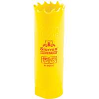 Scie &agrave; cloche bim&eacute;tal 13/16", 13/16", Profondeur de la coupe 2", Bim&eacute;tal St. Lawrence Industrial & Safety Supply