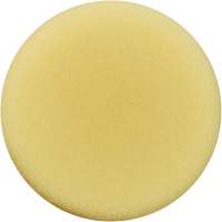 Polishing Pad, 3" Dia. St. Lawrence Industrial & Safety Supply