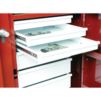 &eacute;tabli roulant, 49-7/8" la x 40-5/8" h x 26-7/8" p, Capacit&eacute; de 24,6 pi³ St. Lawrence Industrial & Safety Supply