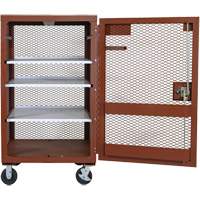 Armoire mobile en treillis, Acier, 22 pi³, Rouge St. Lawrence Industrial & Safety Supply