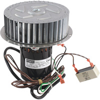 Assemblage de moteur et de roue de ventilateur Renzor St. Lawrence Industrial & Safety Supply