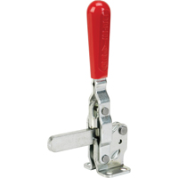 Brides de fixation verticale - S&eacute;rie 207 St. Lawrence Industrial & Safety Supply