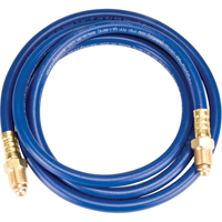 Tuyau pour gaz inerte MIG/TIG, 1/4" x 6' St. Lawrence Industrial & Safety Supply