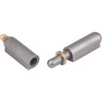 Charni&egrave;re &agrave; souder, 0,512" dia. x 3,15" lo, Acier doux a/goupille fixe en acier St. Lawrence Industrial & Safety Supply
