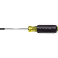 Tournevis Klein a/manche caoutchout&eacute;-Tournevis Torx &agrave; tige ronde St. Lawrence Industrial & Safety Supply