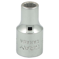 Socket, 3/16", 1/4" Drive, 12 Points St. Lawrence Industrial & Safety Supply