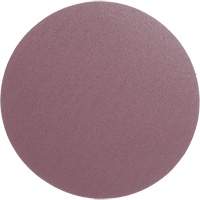 PSA Cloth Disc 348D, 12" Dia., 60 Grit, Aluminum Oxide, X-Weight St. Lawrence Industrial & Safety Supply