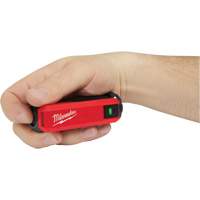 Alimentation et chargeur USB Redlithium, 4 V, Lithium-ion St. Lawrence Industrial & Safety Supply