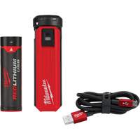 Trousse d'alimentation et de chargeur USB Redlithium, 4 V, Lithium-ion St. Lawrence Industrial & Safety Supply