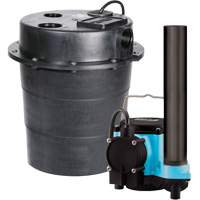 Pompe imerg&eacute;e s&eacute;rie WRS, 45 gal./min, 115 V, 9 A, 1/3 CV St. Lawrence Industrial & Safety Supply