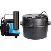 Pompe de puisard Drainosaur, 29 gal./min, 115 V, 9 A, 1/3 CV St. Lawrence Industrial & Safety Supply