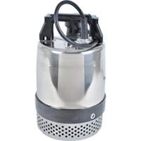 Pompe utilitaire s&eacute;rie FLS/FS, 1 CV, 80 gal./min, 115 V, 10 A St. Lawrence Industrial & Safety Supply