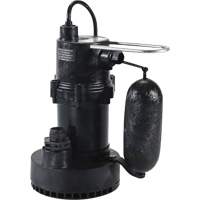 Pompe de puisard de s&eacute;rie 5.5, 35 gal./min, 115 V, 3,5 A, 1/4 CV St. Lawrence Industrial & Safety Supply