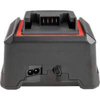 2.5 Ah & 5.0 Ah Battery Charger, 120 V, Lithium-Ion St. Lawrence Industrial & Safety Supply
