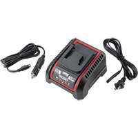 2.5 Ah & 5.0 Ah Battery Charger, 120 V, Lithium-Ion St. Lawrence Industrial & Safety Supply