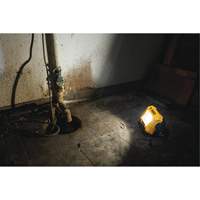 12V/20V Max Compact Task Light, LED, 2000 Lumens St. Lawrence Industrial & Safety Supply