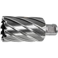 Annular Cutters