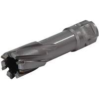 Universal Shank Annular Cutter, 1/2" Diameter, Carbide, 1" Depth of Cut, 3/4" Shank St. Lawrence Industrial & Safety Supply
