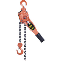 KLP-75-10 Palan &agrave; chaîne &agrave; levier s&eacute;rie KLP pour usage intensif, Lev&eacute;e 10', Cabacit&eacute; 1500 lb (0,75 tonne) St. Lawrence Industrial & Safety Supply