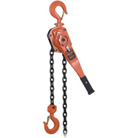 KLP-300L-5 Palan &agrave; chaîne &agrave; levier robuste s&eacute;rie KLP avec protection contre la surcharge, Lev&eacute;e 5', Cabacit&eacute; 6000 lb (3 tonnes) St. Lawrence Industrial & Safety Supply