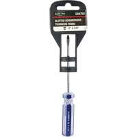 Tournevis &agrave; fente bleu transparent avec bandes , Tige de 1/8", Ronde, Prise en Plastique St. Lawrence Industrial & Safety Supply