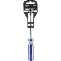 Tournevis &agrave; fente bleu transparent avec bandes, Tige de 3/16", Ronde, Prise en Plastique St. Lawrence Industrial & Safety Supply