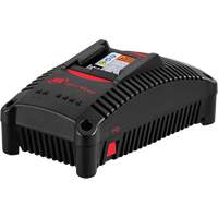 IQV&reg;40 Battery Charger, 40 V, Lithium-Ion St. Lawrence Industrial & Safety Supply