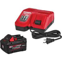 Ensemble de batterie de d&eacute;marrage M18 Redlithium Forge XC8.0, 18 V, Lithium-ion St. Lawrence Industrial & Safety Supply
