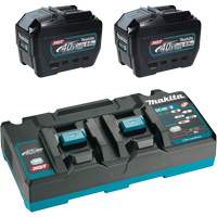 Ensemble de d&eacute;part XGT avec chargeur rapide &agrave; deux ports et deux batteries de 8?Ah, 40 V, Lithium-ion St. Lawrence Industrial & Safety Supply