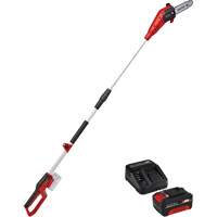 Cordless Pole Chain Saw with 4Ah Battery & Charger Starter Kit St. Lawrence Industrial & Safety Supply